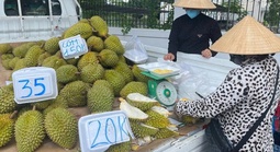 Doanh nghiệp và người trồng sầu riêng "đứng ngồi không yên"