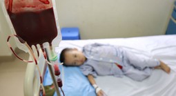 14 triệu người Việt mang gen thalassemia mà không hay biết