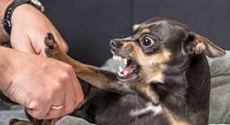 Người phụ nữ sợ gió, sợ nước, tử vong ở Đồng Nai