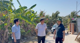 Chủ tịch UBND đặc khu Phú Quốc nói về “tình và lý” trong xử lý vi phạm đất đai ở Gành Dầu