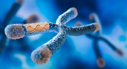 Một lỗi DNA có thể biến chuột cái thành đực: Hy vọng cho con người