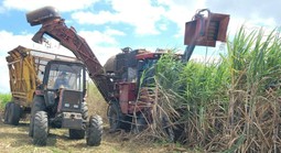 Đường lậu, không rõ nguồn gốc vẫn tràn lan