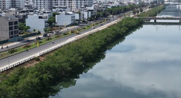 Khánh Hòa: Chi 572 triệu đồng để chặt hàng cây xanh rì dọc sông Quán Trường?