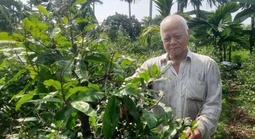 "Lá phổi xanh" giữa lòng phố thị