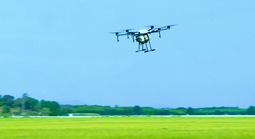 Drone ra đồng, nông dân nhàn hơn