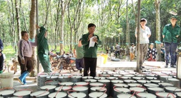 Từ vườn cao su đến bằng khen của Thủ tướng