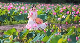 Đẹp ngỡ ngàng đồng hoa sen lớn nhất Đà Nẵng, du khách thích thú đến check-in