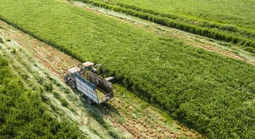 Vinamilk khẳng định vị thế thương hiệu sữa Việt
