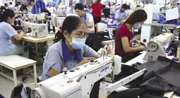 Đề xuất tham gia bảo hiểm tai nạn lao động đối với người lao động đang hưởng chế độ hưu trí
