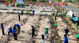 Phủ xanh đất trống, làm đẹp xóm làng