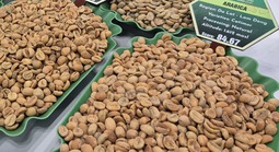 Giá cà phê hôm nay 2-6: Arabica giảm 3 con số