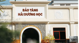 Tăng cường xử lý nạn trộm cắp, giữ an toàn cho du khách ở Nha Trang