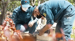 Mệnh lệnh từ trái tim: Hành trình vẹn tròn nghĩa tình