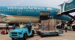 Sếu đầu đỏ "bay" từ Thái Lan về Việt Nam bằng Boeing 787