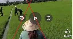 Vĩnh Long: Làm rõ vụ phun thuốc diệt cỏ vào lực lượng công an