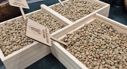 Giá cà phê hôm nay, 24-6: Arabica tăng nóng