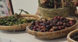 Giá cà phê hôm nay 26-6: Robusta tăng 3 phiên liền, cà phê Việt mở rộng thị phần tại Mỹ