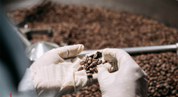 MaYaCa xây dựng nhà máy cà phê đạt chuẩn ISO 22000:2018 ở Đà Nẵng