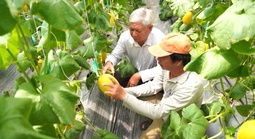Lan tỏa giá trị ngành nghề nông thôn gắn với bảo vệ môi trường