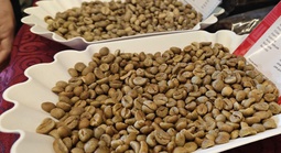 Giá cà phê hôm nay, 27-6: Robusta giao ngay vẫn "nóng"