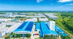 Nguy cơ "tẩy xanh" để hưởng ưu đãi tín dụng