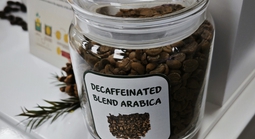 Giá cà phê hôm nay 29-6: Điều ít biết về cà phê không chứa caffeine