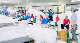 Hơn 100 công nhân ngành điện tử Đà Nẵng tranh tài tại hội thi tay nghề