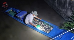 Xử lý người đàn ông bắt cá "kiểu tận diệt" ở khu vực Tắc Bến Rô, TPHCM