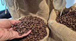 Giá cà phê hôm nay, 30-6: Arabica bật tăng, Robusta sụt giảm