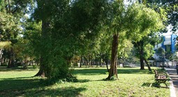 Cuộc thi "Tôi yêu thành phố của tôi": Từ Shinano nhớ về thành phố mang tên Người