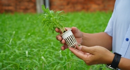 "Đánh thức" đất bỏ hoang bằng nông nghiệp số