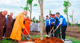 Gieo mầm xanh, vun đắp khối đại đoàn kết giữa lòng TPHCM
