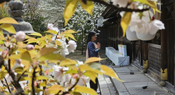 Giữa Kyoto, như nghe thời gian thở