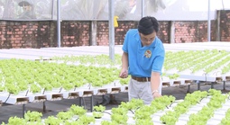 Vườn rau 4.0 của nông dân thời số