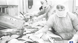 Báo in ngày 8-6: Tổ chức kỳ thi tốt nghiệp THPT an toàn, nghiêm túc
