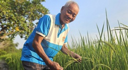 Từ cánh đồng hữu cơ đến thương hiệu OCOP vùng ven đô