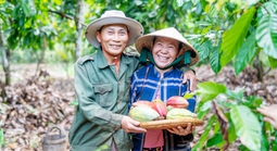 Ca cao Việt chinh phục thị trường quốc tế