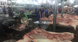 Giá heo hơi hôm nay, 10-6: Thịt heo chợ đầu mối giảm đến 10 giá