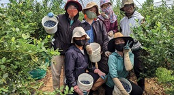 Tin vui cho lao động Việt Nam làm việc tại Úc