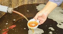 Trung thực với nghề, danh tiếng vang xa