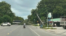 Cây xanh bật gốc kéo đổ 2 cột điện, dây điện chắn ngang đường ở TPHCM