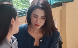 Kết quả kháng cáo bản án ly hôn của Diệp Lâm Anh