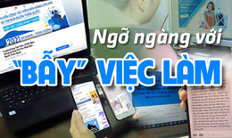 Điểm mặt những kẻ "giăng mạng nhện" trên mạng