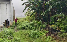 Yêu cầu xã giải quyết vụ lô đất trúng đấu giá 18 năm không có trên thực địa