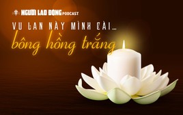 VU LAN NÀY MÌNH CÀI… BÔNG HỒNG TRẮNG