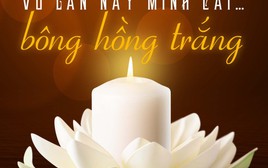 VU LAN NÀY MÌNH CÀI… BÔNG HỒNG TRẮNG