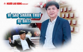 Vì sao Shark Thủy bị bắt?