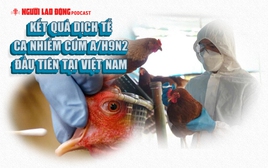Kết quả dịch tễ ca nhiễm cúm A/H9N2 đầu tiên tại Việt Nam