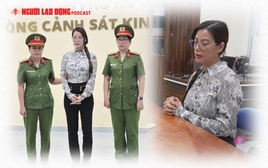 Trương Ngọc Ánh từng “dính” nợ ra sao trước khi bị bắt?