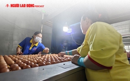 Công ty Ba Huân bị cưỡng chế ngừng thủ tục hải quan, vì sao?